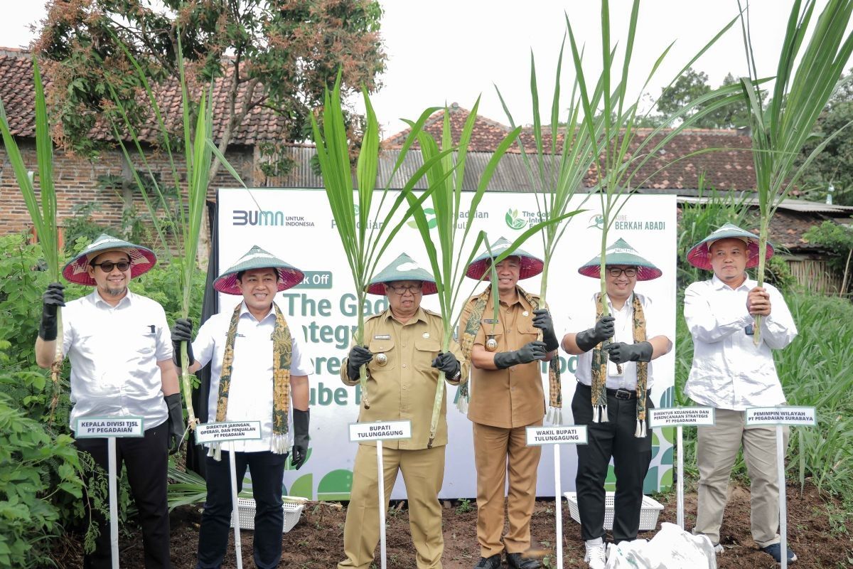 Sistem pertanian terpadu PT Pegadaian dinilai telah representasikan kondisi geografis