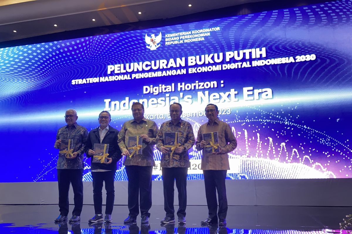 Digital economy white paper guide for national digitization: Minister