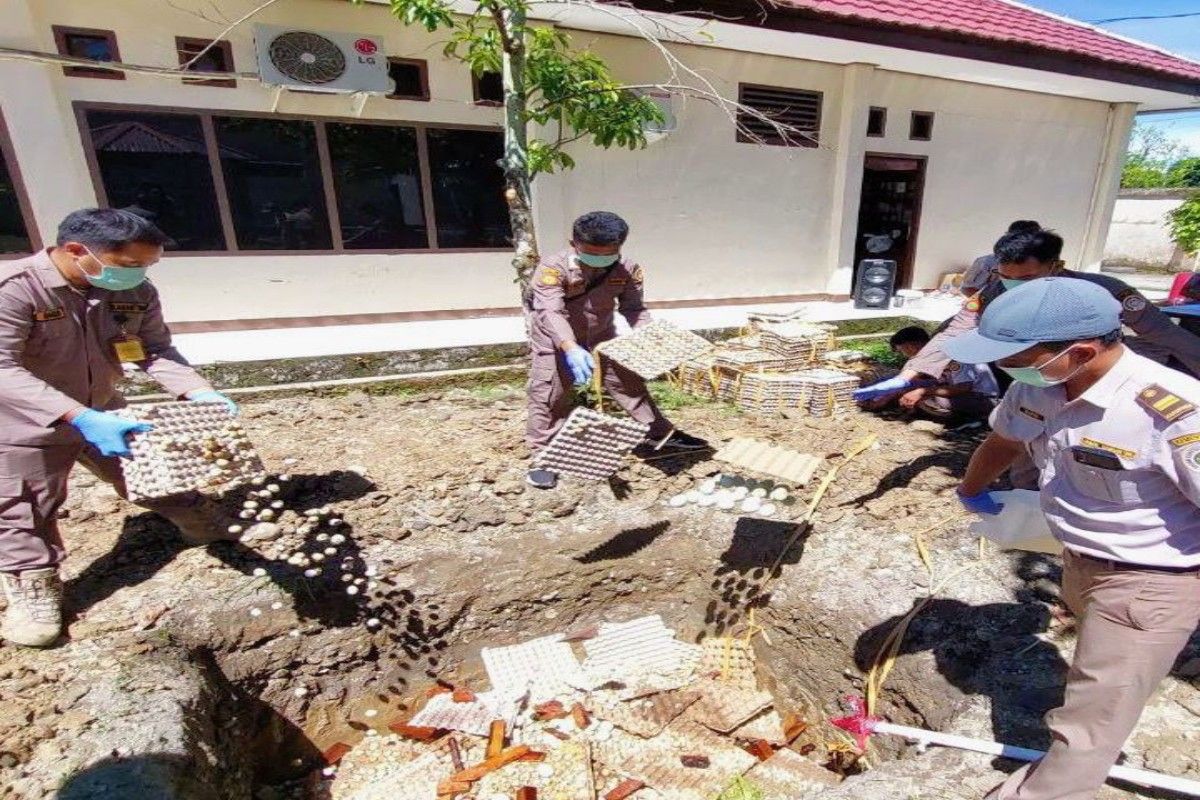 Karantina Pertanian Timika musnahkan 250 kg telur asal Jawa Timur