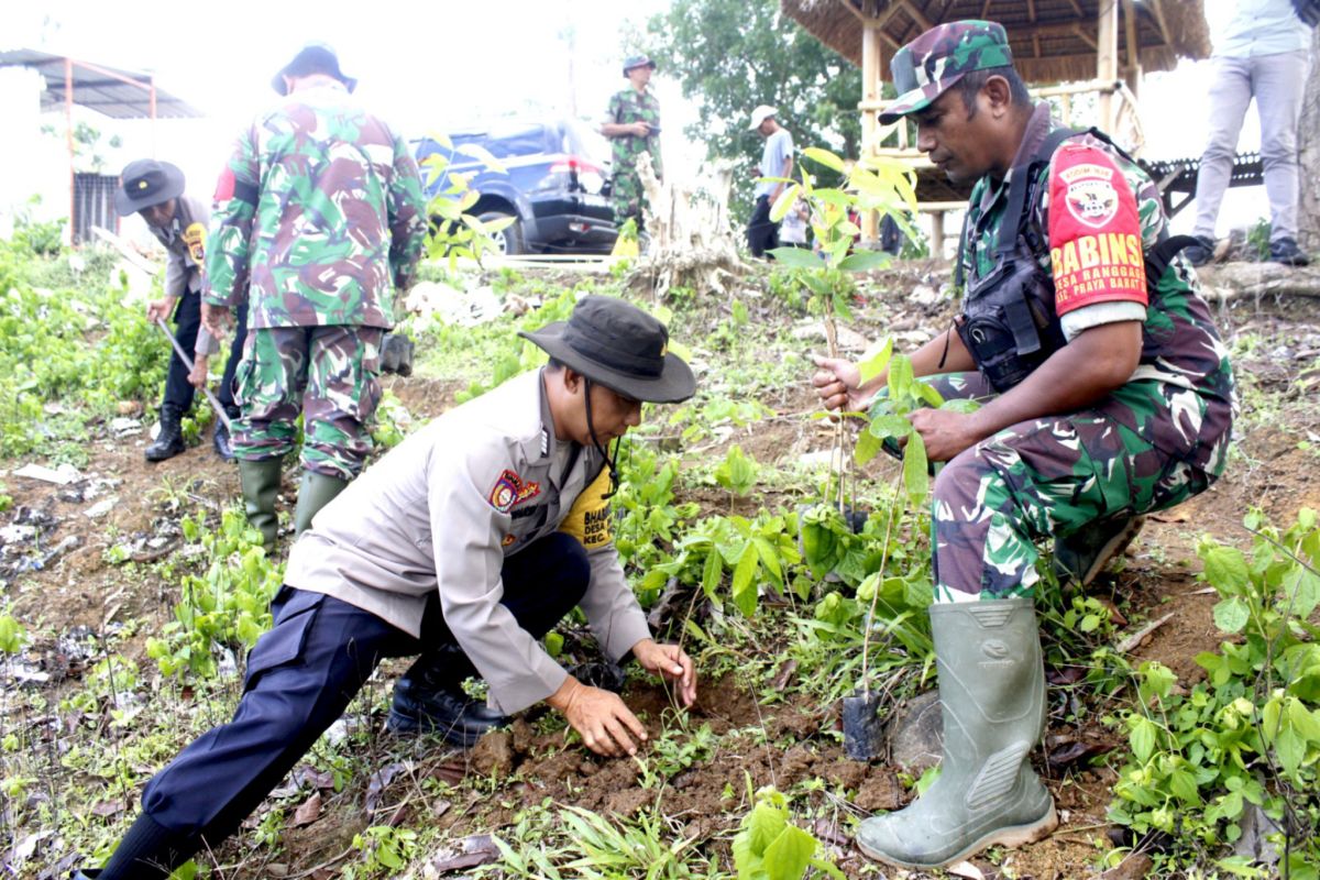 TNI Kodim 1620 NTB ajak warga tanam pohon di Bukit Pelet Lombok Tengah