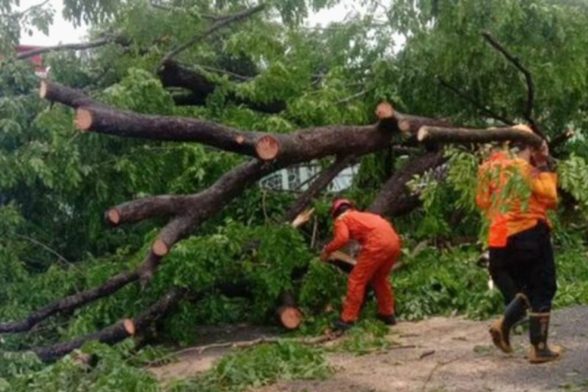 BPBD Subang: Waspadai angin puting beliung dan longsor pada musim hujan