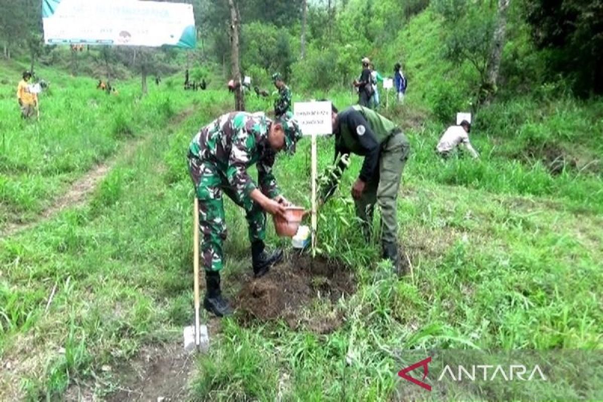 TNI tanam pohon di lereng Merbabu cegah bencana alam