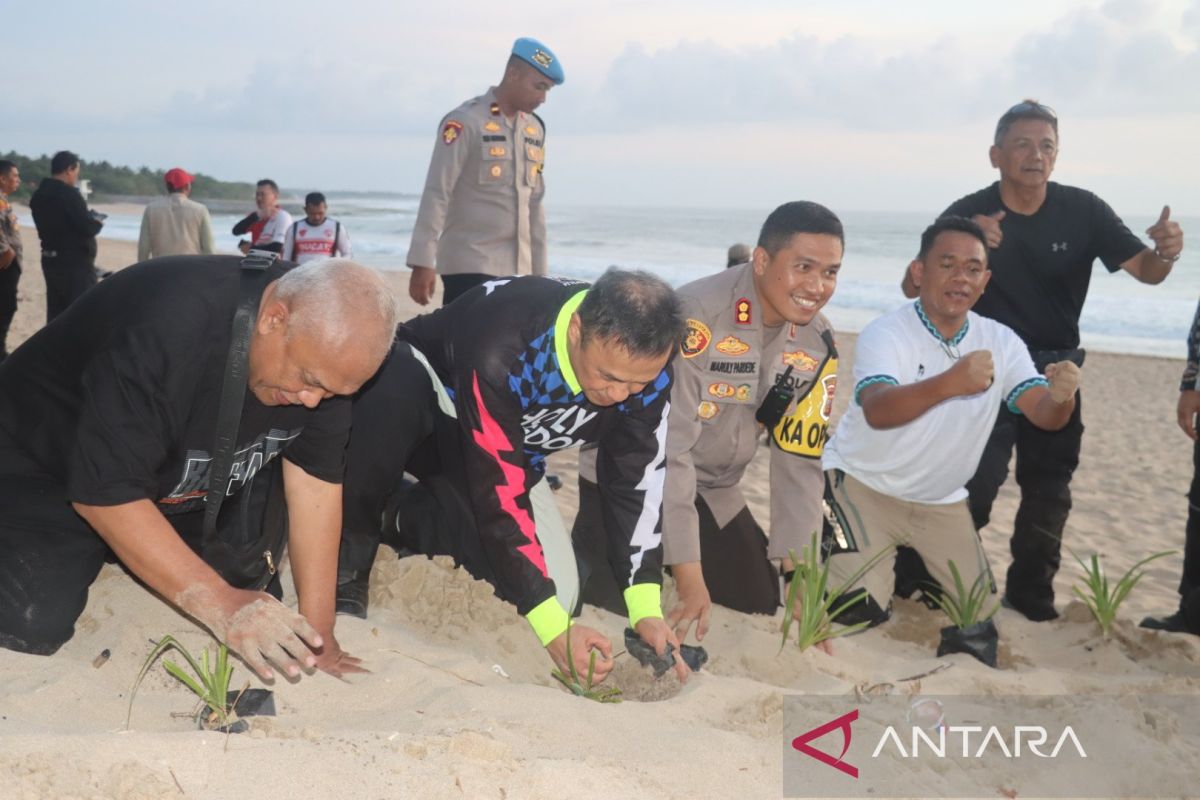 Jaga populasi penyu ratusan tukik dilepasliarkan di Pantai Pangumbahan Sukabumi