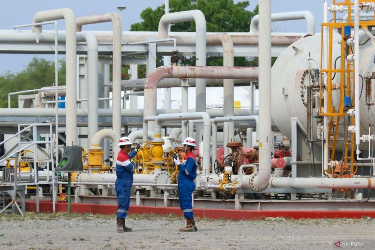 Praktisi: Potensi bisnis CCS/CCUS besar tapi perlu dukungan perizinan