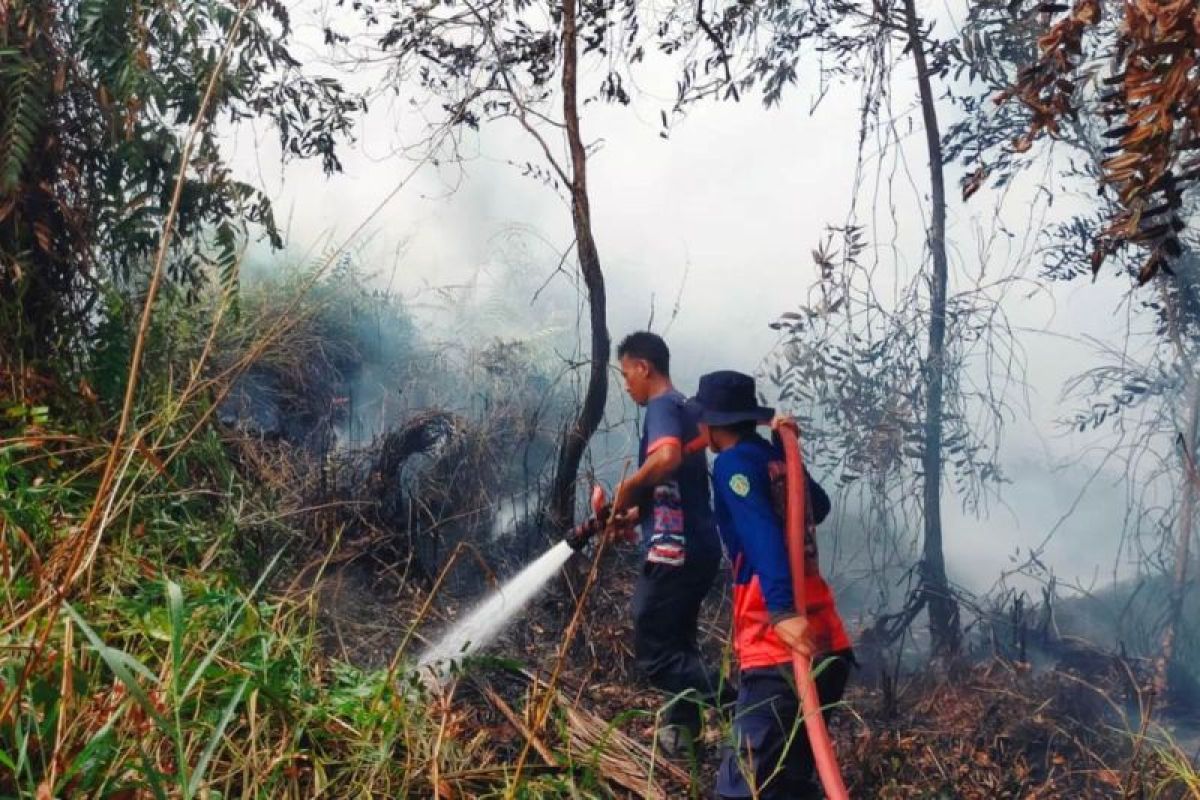 East Kalimantan hit by wildfires, 64 hotspots found