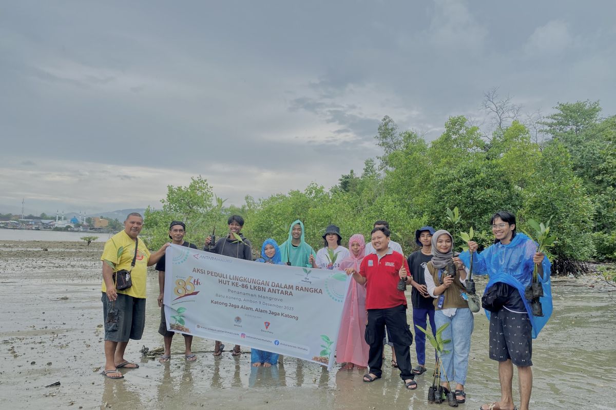 LKBN ANTARA tanam  mangrove di Pantai Poka Ambon