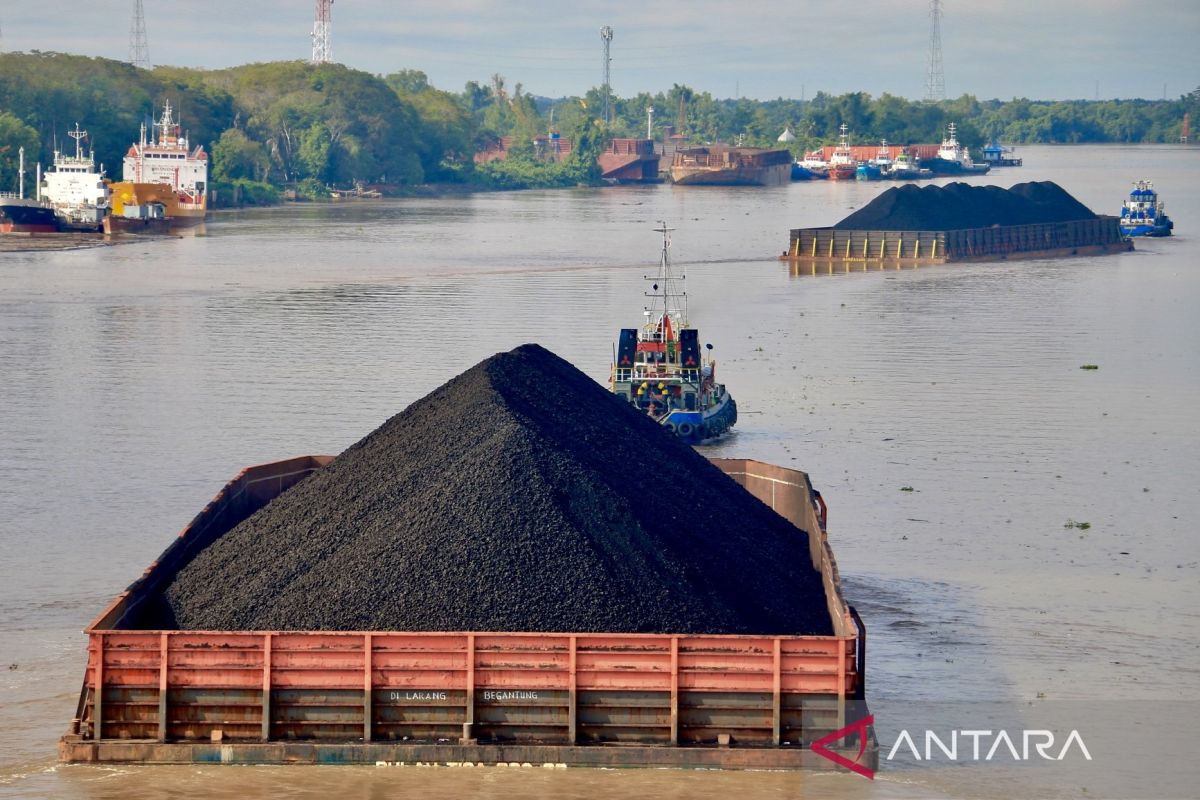 Memandang lalu-lalang “emas hitam” di Situs Geopark Meratus