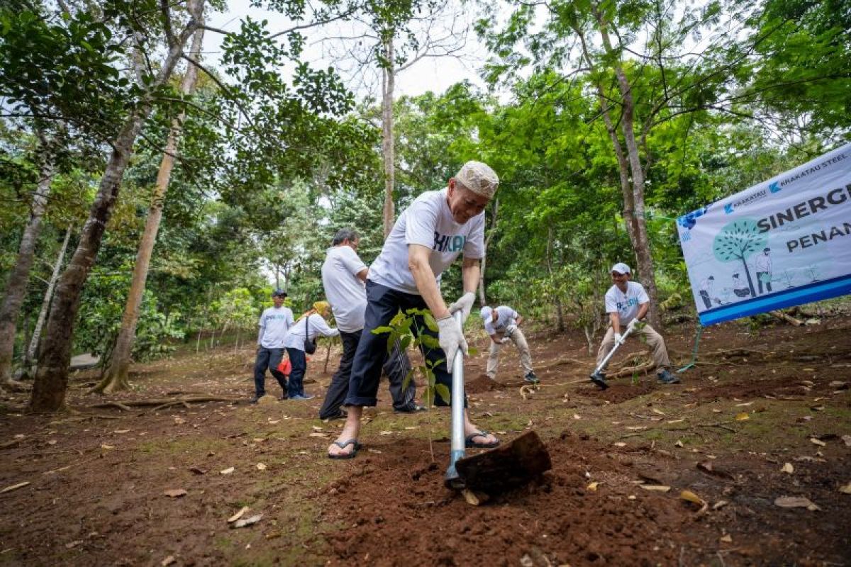 PT Krakatau Sarana Properti tanam 100 pohon