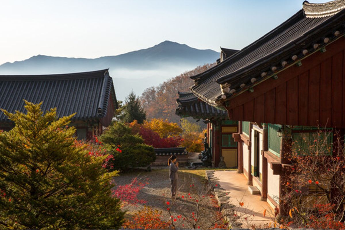 Templestay di Korea: Ketika Tradisi Bertemu dengan Modernitas