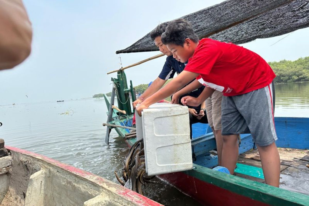 YBA-Ecoton lepas ribuan ikan di Kebun Raya Mangrove Surabaya