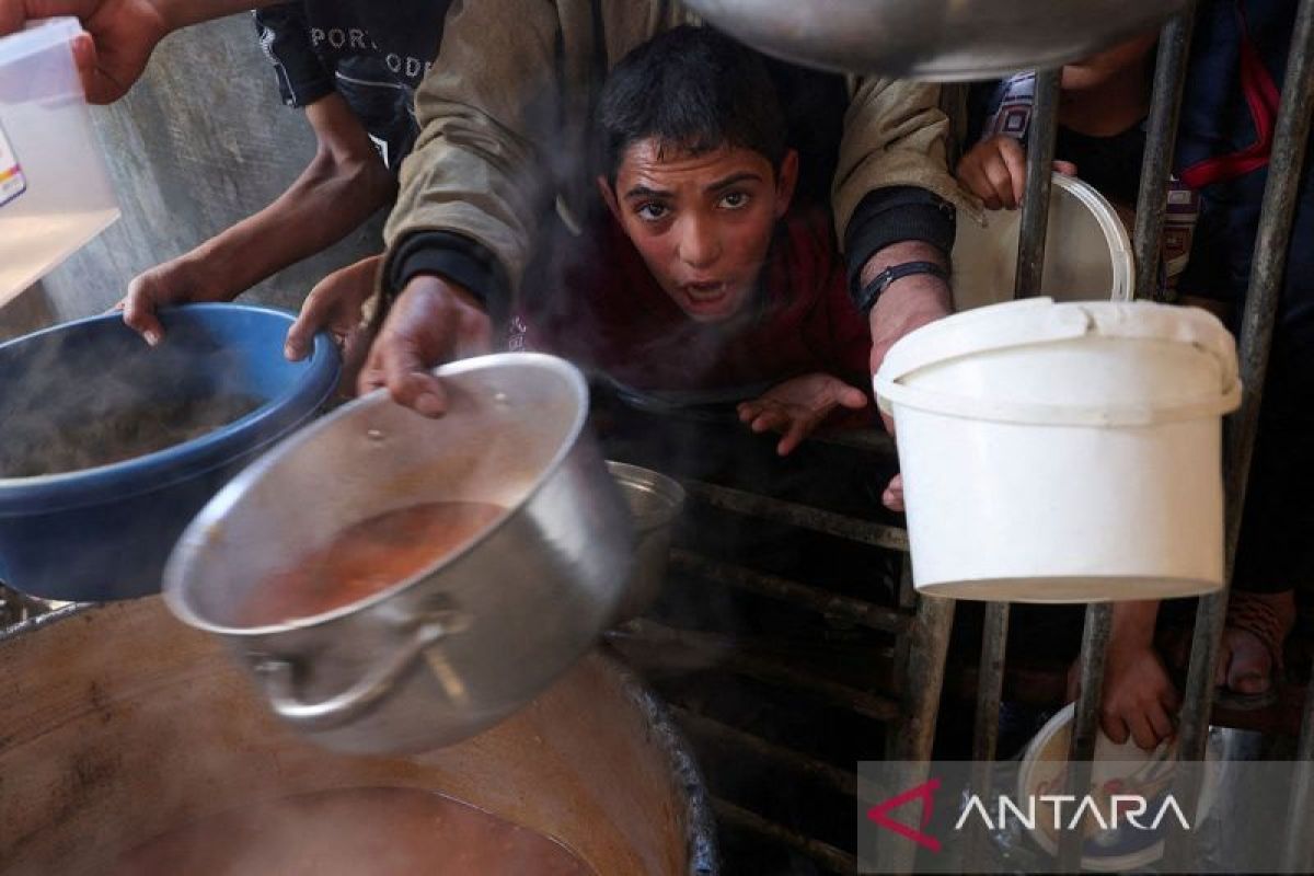 Bantuan dunia gagal cegah tragedi kelaparan warga Gaza