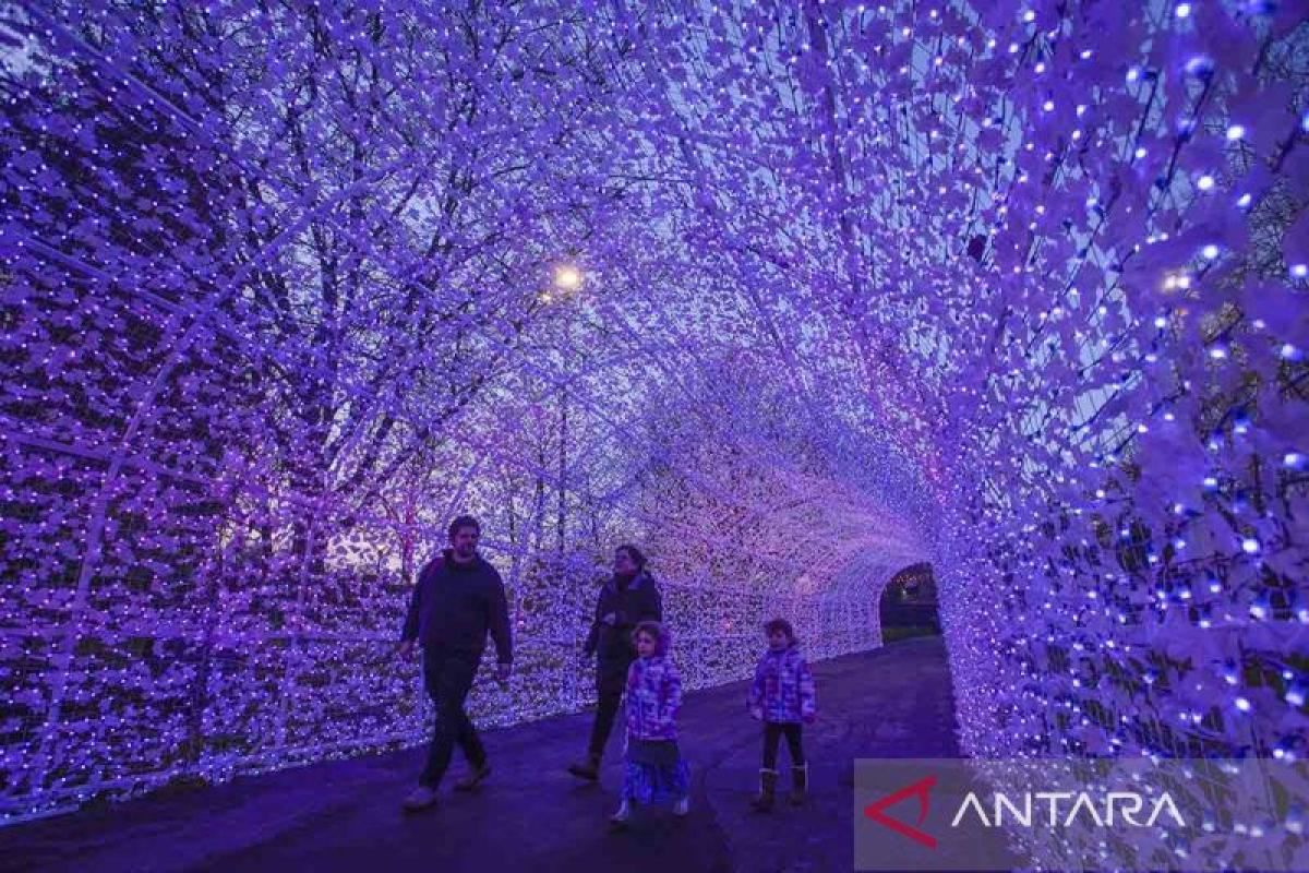Instalasi cahaya di PNE Winter Fair Kanada ANTARA News