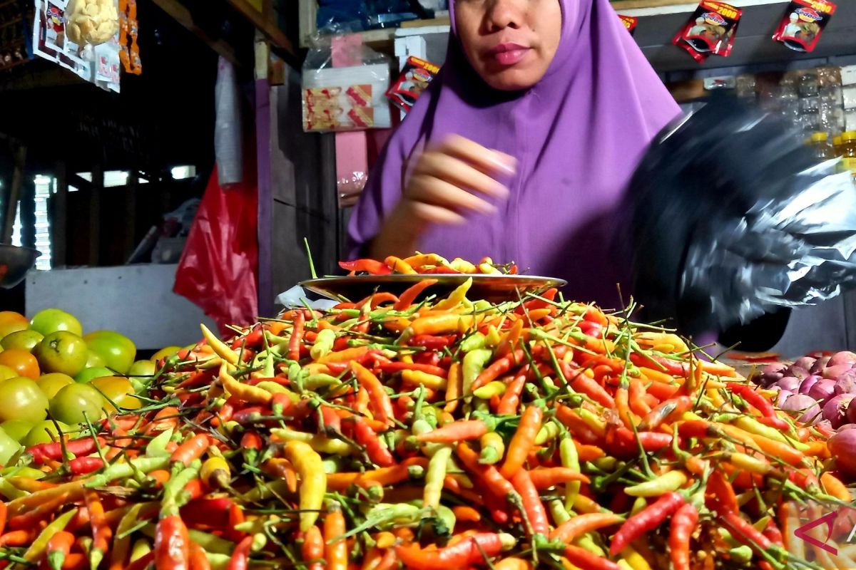 Harga cabai rawit di Gorontalo masih tinggi