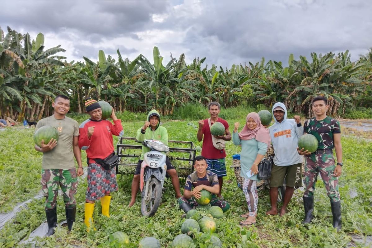 Satgas Pamtas RI-PNG bantu warga Muara Tami panen buah semangka