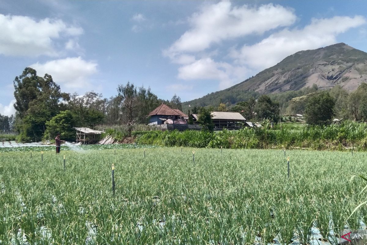 OJK genjot sektor pertanian jadi prioritas di Bali