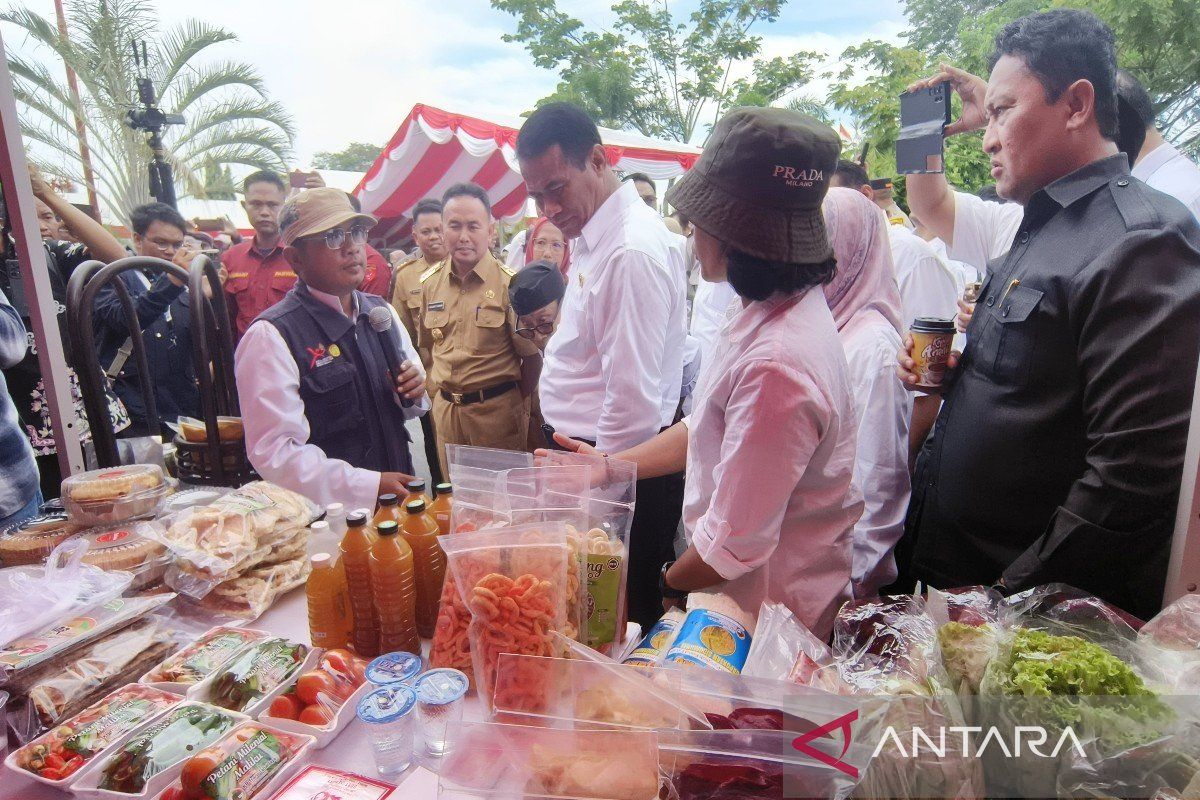 Central Kalimantan to be food buffer region for Nusantara: minister