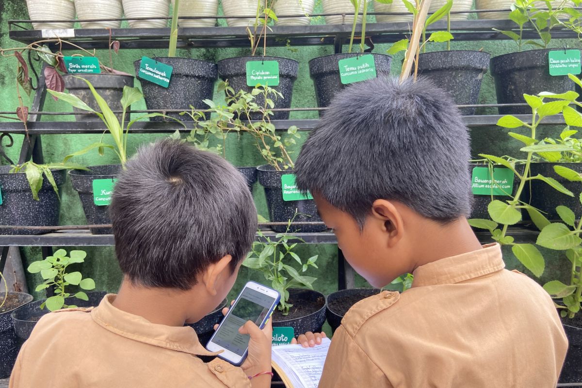 Manfaatkan HP agar siswa di Bali mengenal tanaman obat keluarga