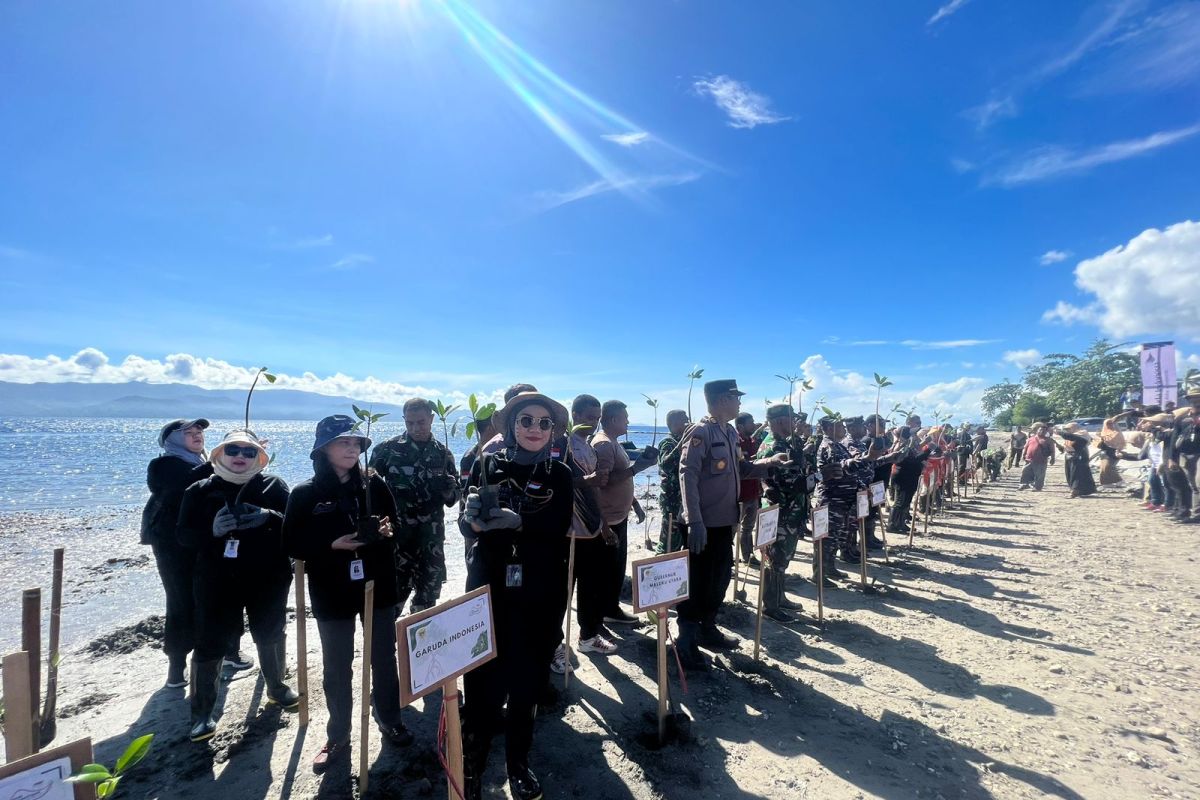 Garuda Indonesia bersama DLH Tidore tanam 1.500 pohon mangrove di Pantai Dowora