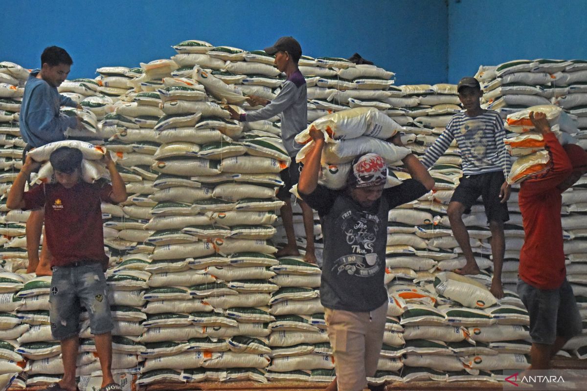 Bulog Sultra siapkan 14.737 ton beras untuk Natal dan Tahun Baru