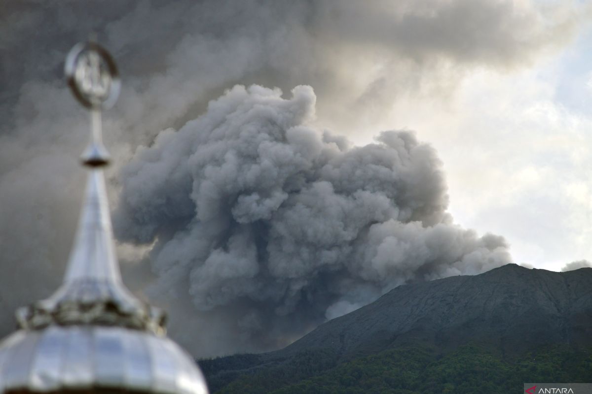 Polda periksa dua pegawai BKSDA Sumbar terkait insiden Gunung Marapi