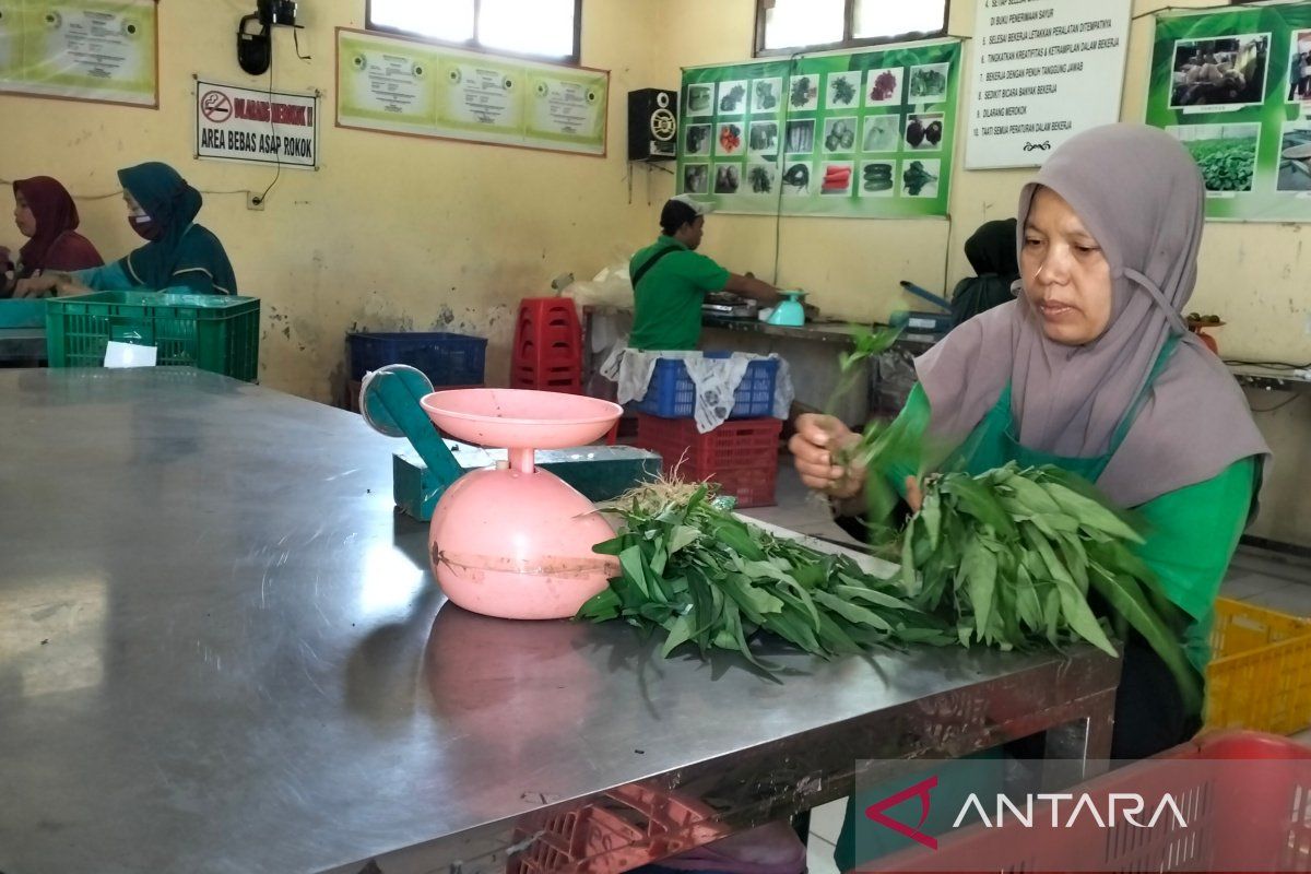 Aspakusa Makmur Boyolali perluas pasar sayur segar di ritel  modern