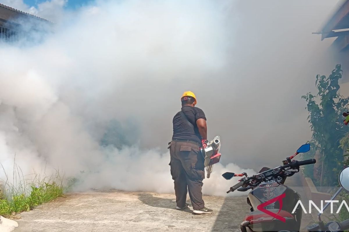 Dinkes Kabupaten Sorong lakukan fogging guna minimalisir kasus DBD