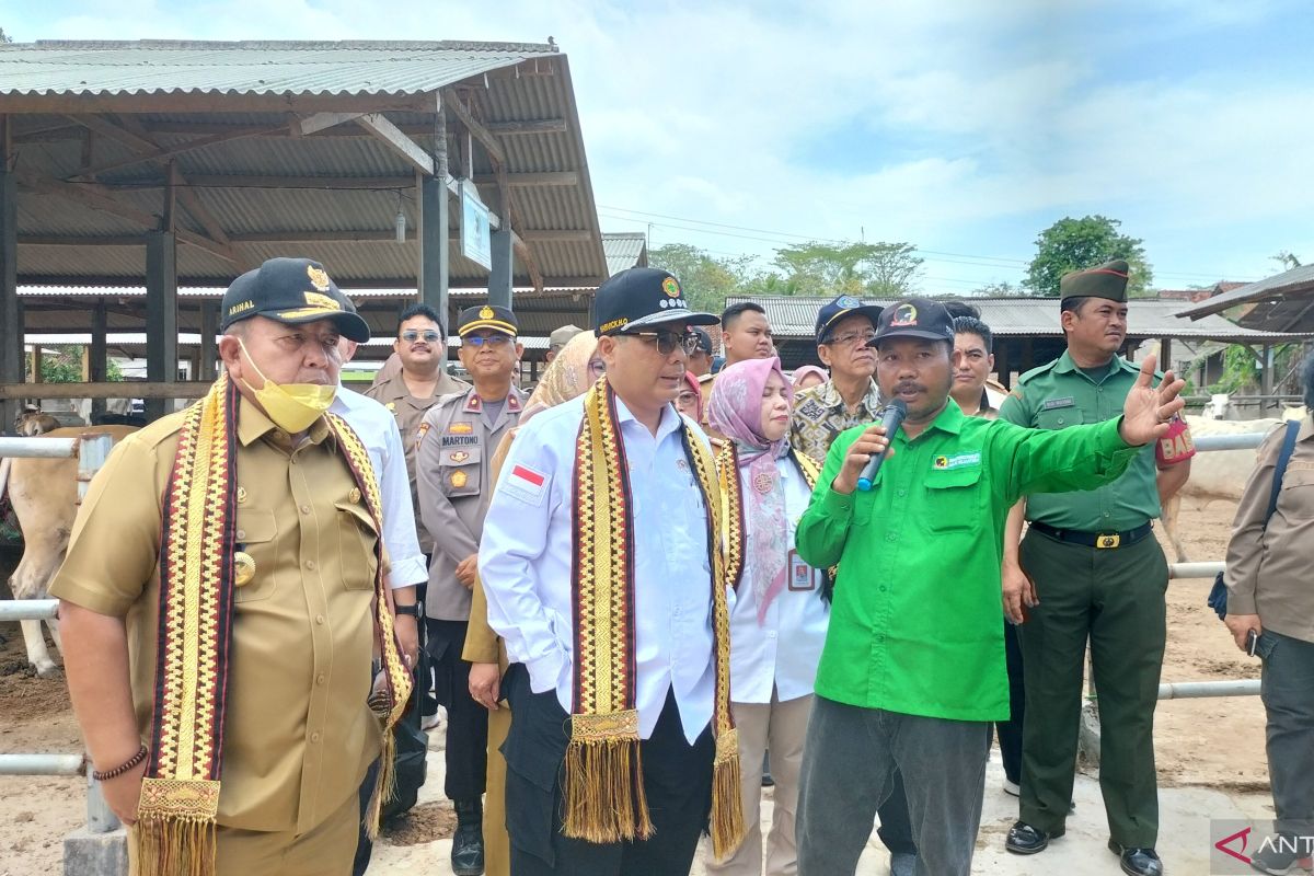 Wamentan dorong Lampung Selatan jadi percontohan produksi ternak berkualitas