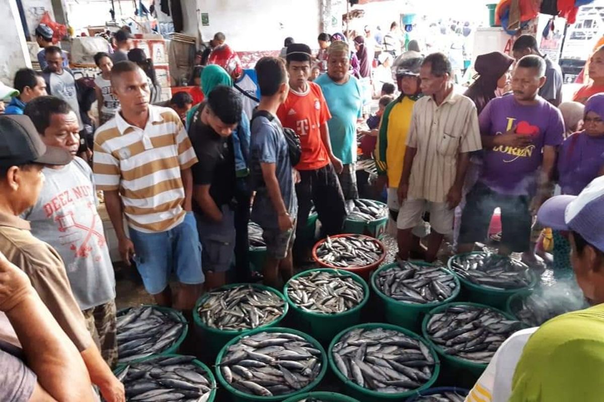 DKP: Pembenahan Tempat Pelelangan Ikan  tingkatkan PAD Ambon