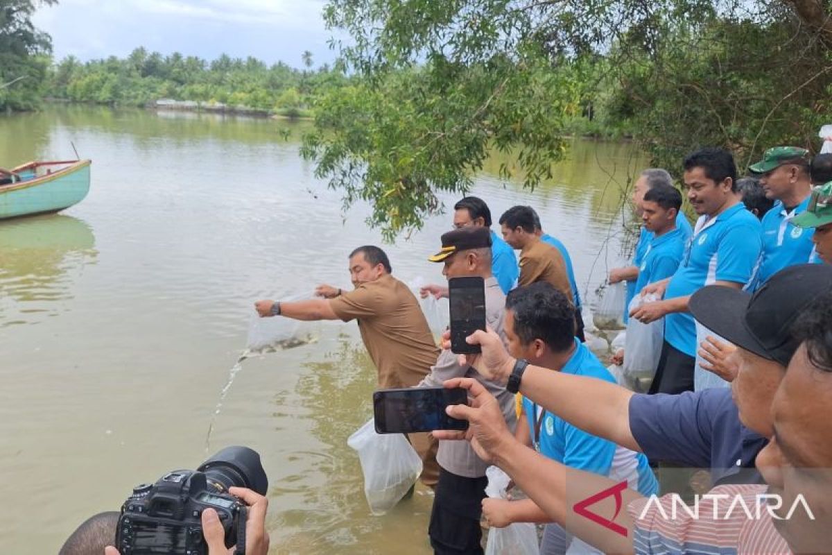 SBA tanam mangrove dan lepas 2.000 bibit kakap putih di Aceh Besar