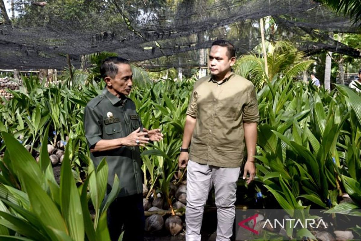 Bupati Gorontalo terus kembangkan pemanfaatan potensi komoditas kelapa