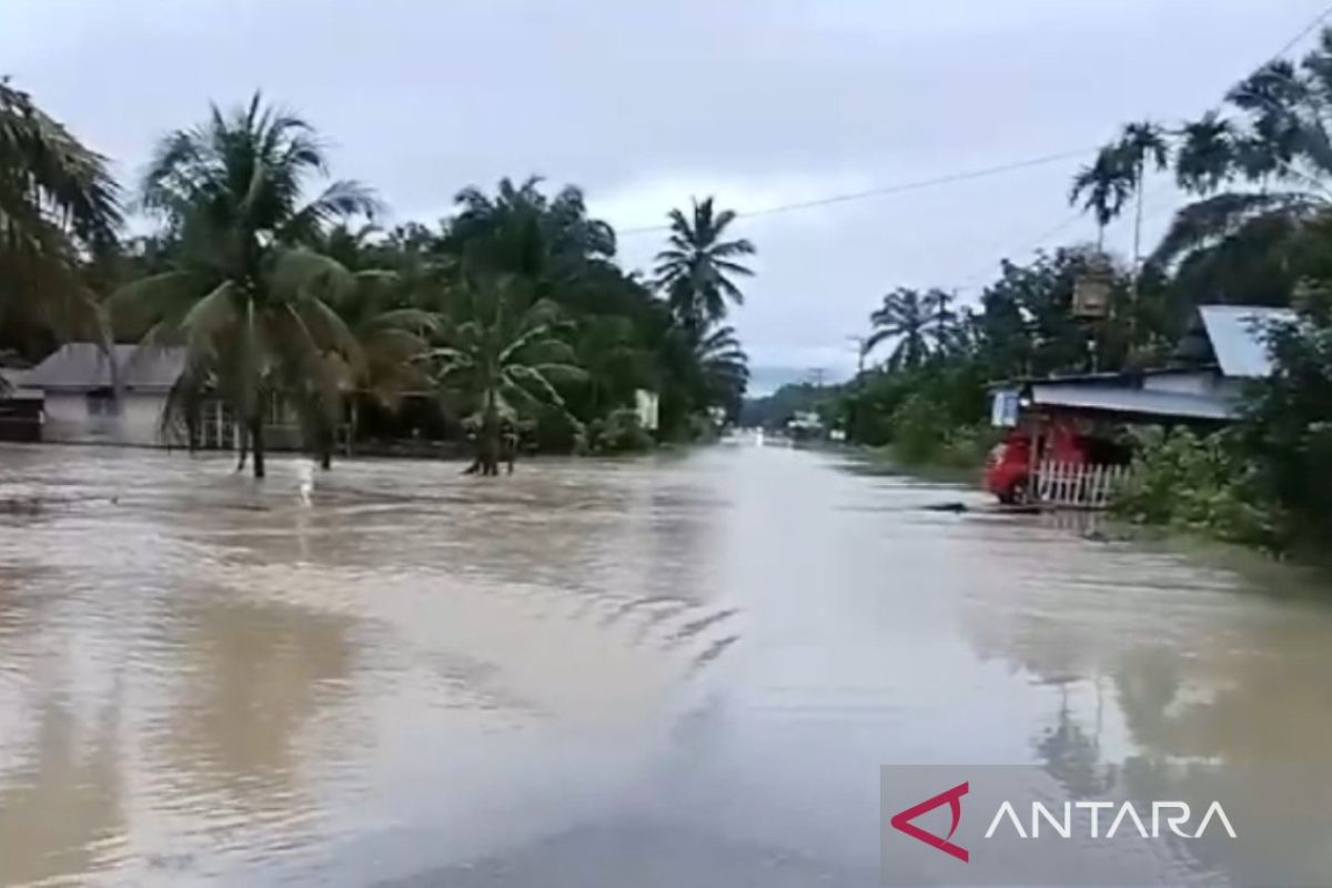 BPBD: Banjir luapan di Nagan Raya Aceh mulai surut