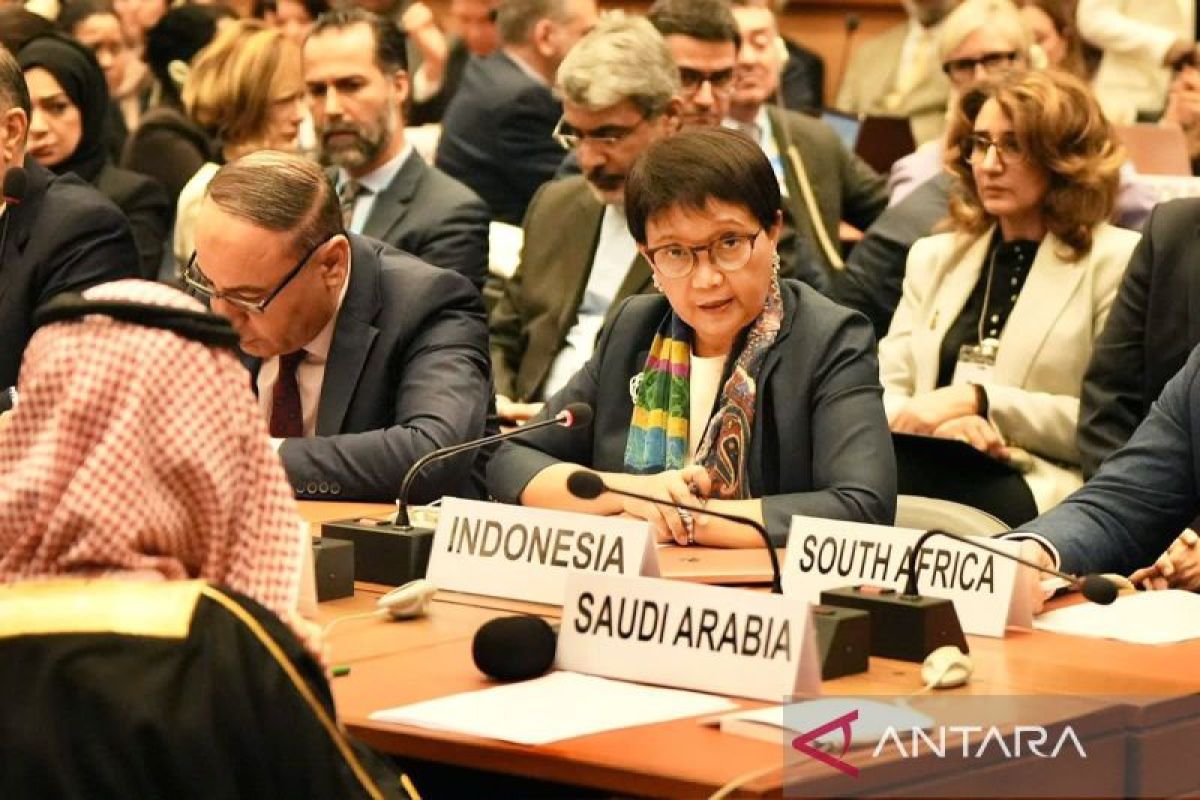 Indonesia supports Palestine to receive special rights from UN