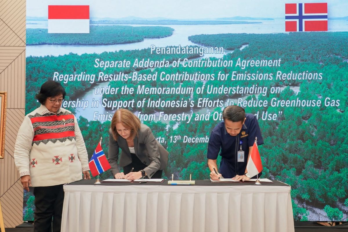 RI terima 100 juta dolar AS dari Norwegia atas penurunan deforestasi