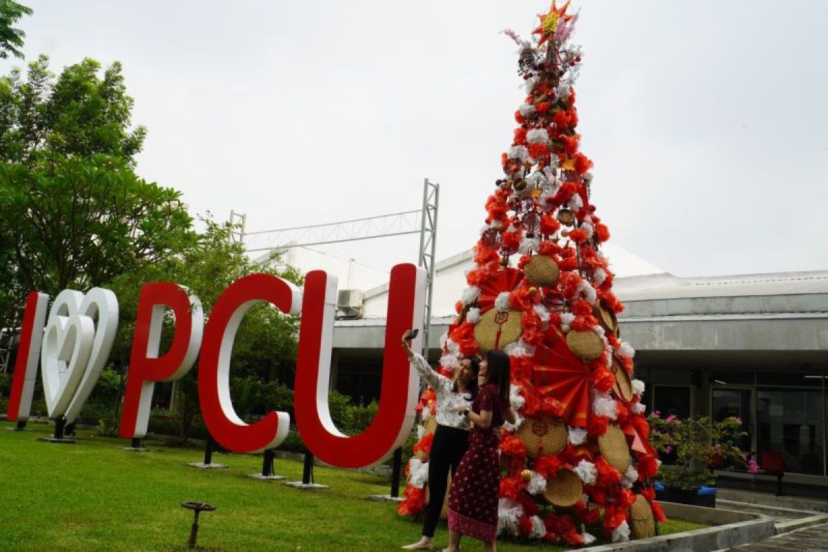 Puluhan mahasiswa PCU Surabaya membuat pohon Natal berbahan plastik
