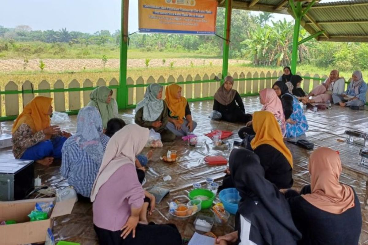 Mahasiswa Unja ciptakan hilirisasi labu madu tingkatkan ekonomi warga