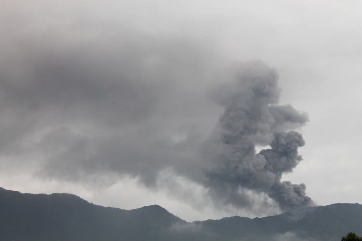 Pascaerupsi Marapi, BKSD tutup aktivitas pendakian ke empat gunung