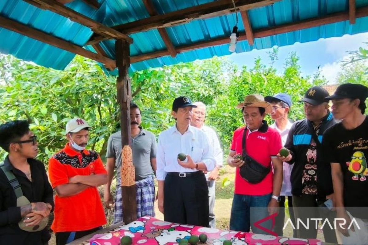 Pastika: Perlu upaya komprehensif jadikan petani Bali sejahtera