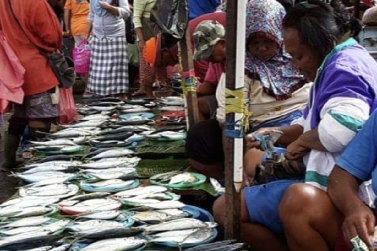 DKP Ambon pantau harga dan stok ikan segar jelang Natal