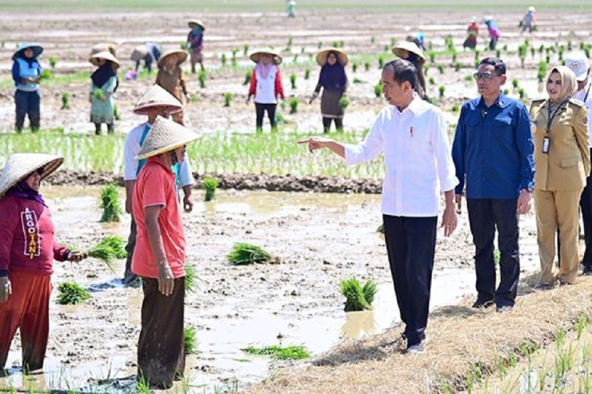 Presiden Jokowi janji akan tambah subsidi pupuk untuk para petani