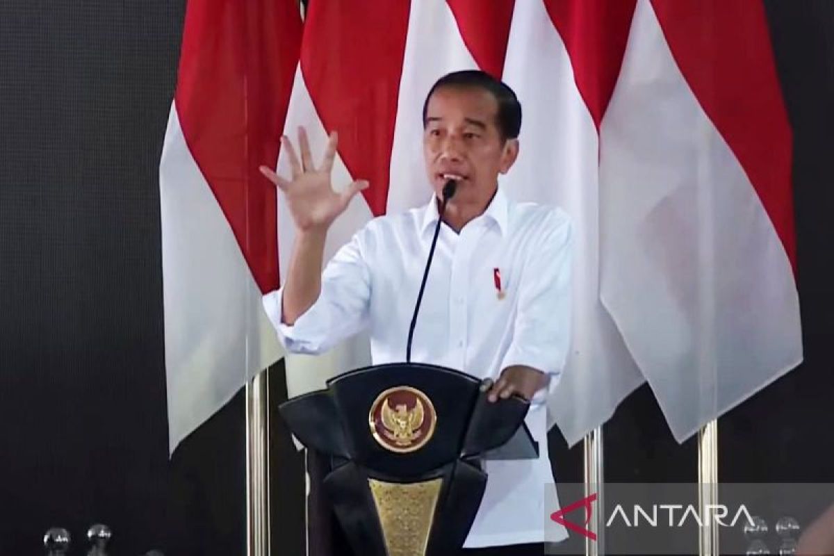Jokowi sebut jangan sampai cabai harganya Rp100.000 lagi