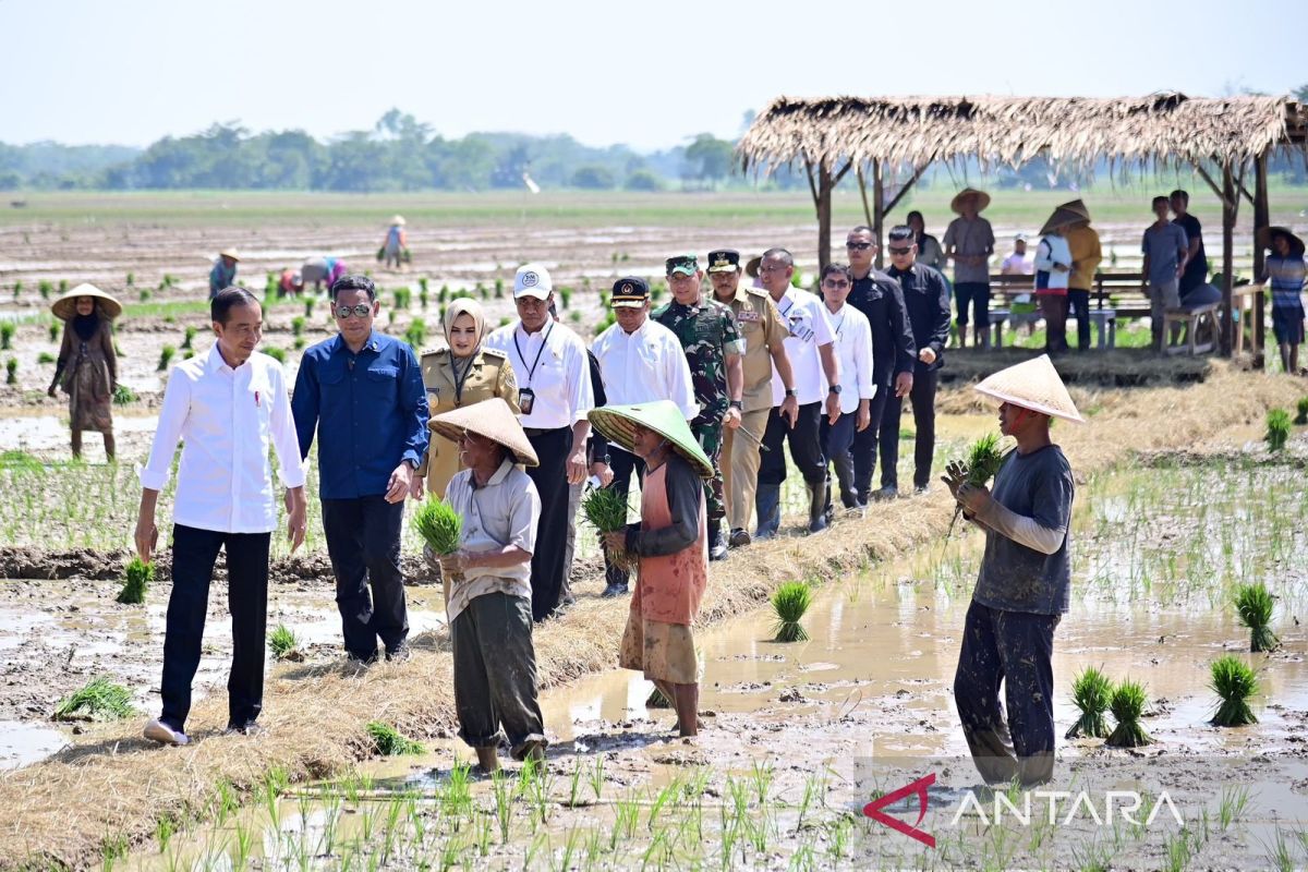 Presiden Jokowi dorong petani mulai tanam padi karena musim hujan telah tiba