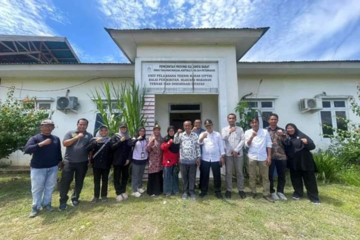 Balai Pembibitan Ternak  Indrapuri Aceh dampingi pengembangan ternak di Sulbar