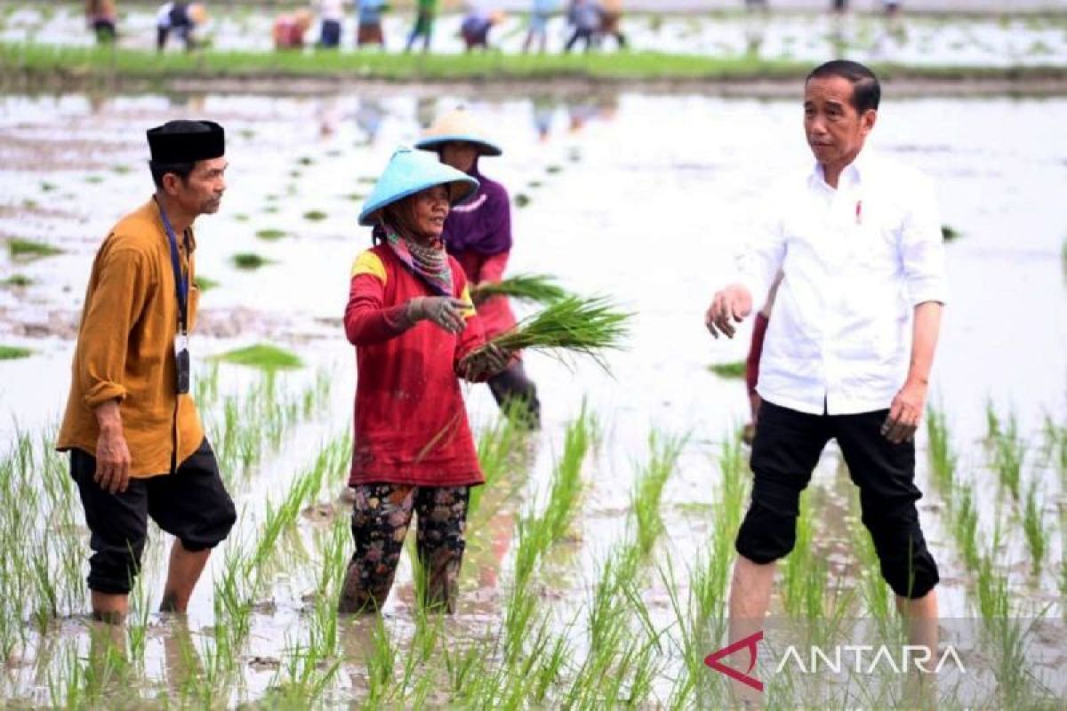 Jokowi: hasil survei jadi bahan evaluasi pemerintah