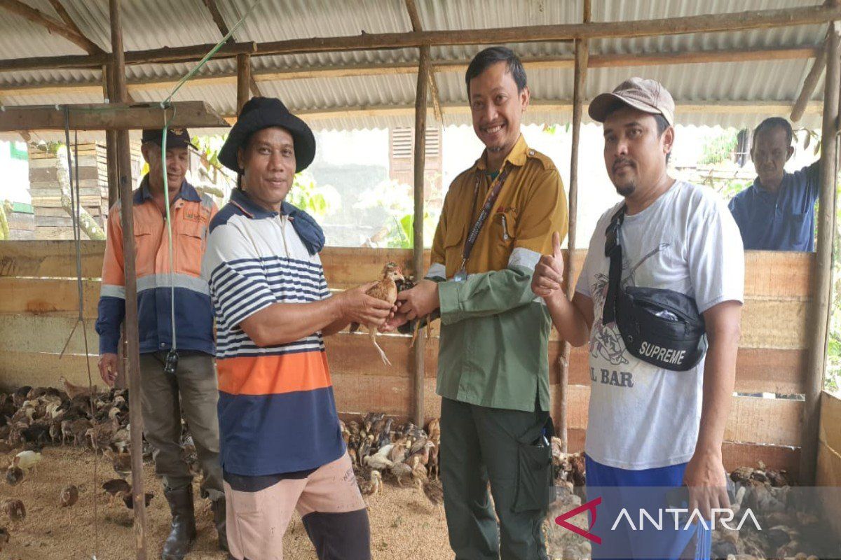 Kelompok tani di Desa Hutaraja dapat bantuan ribuan ekor ayam dari PT SMGP