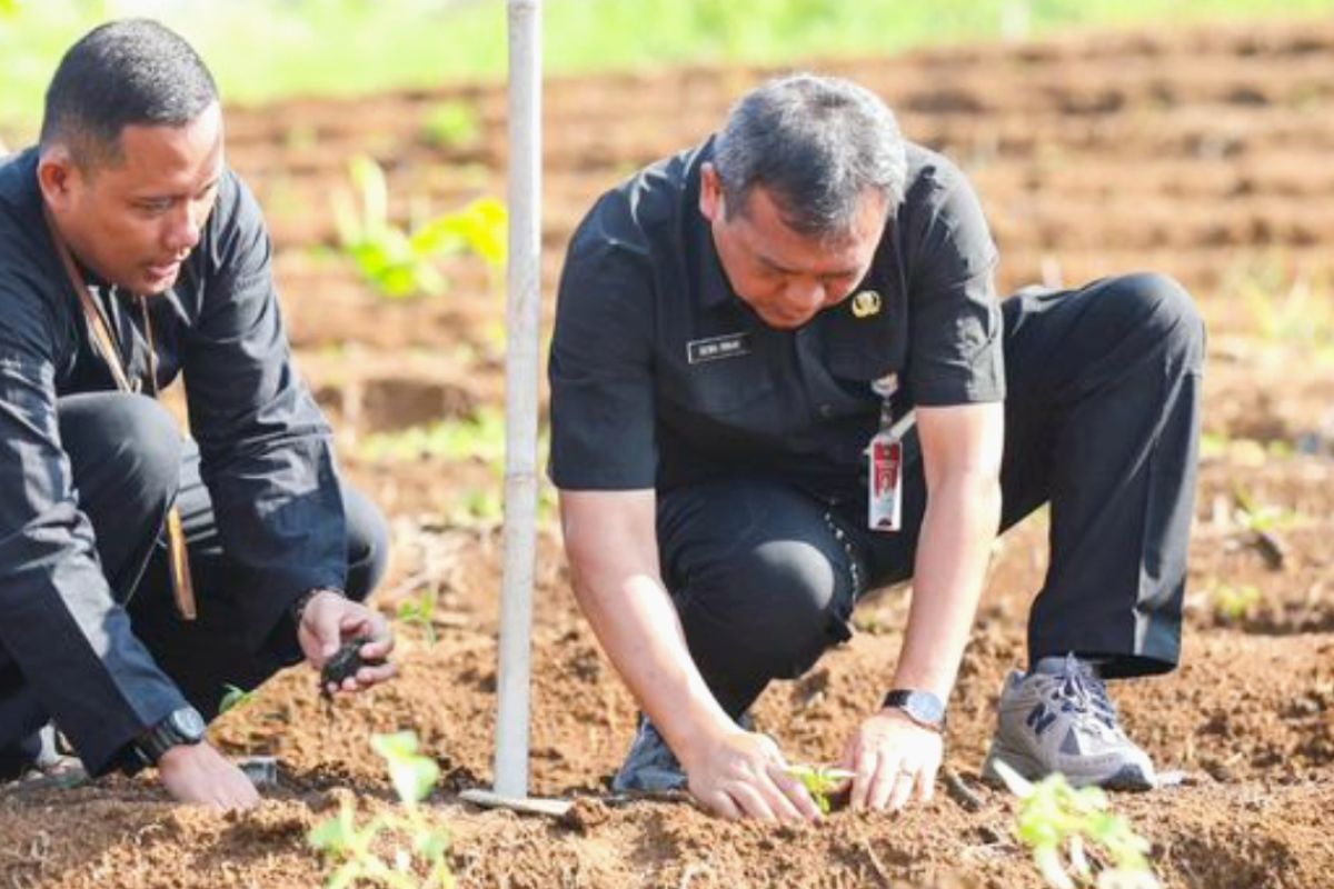 Pemkab Purwakarta gulirkan gerakan tanam cabai cegah inflasi