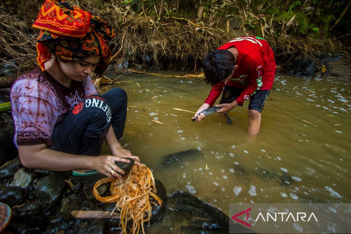 Merawat simpul harmonisasi  Tradisi Maliu Suku Dayak