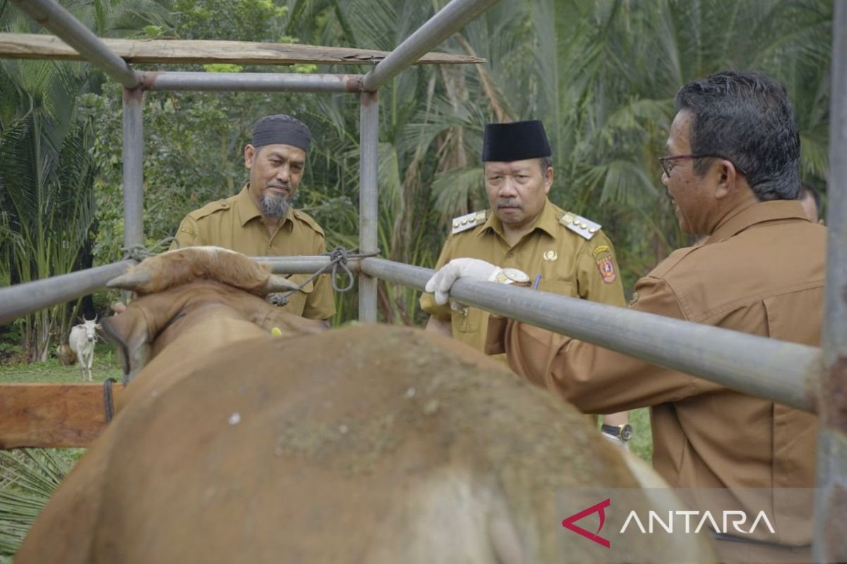 Persediaan daging aman di Agam jelang Natal-tahun baru