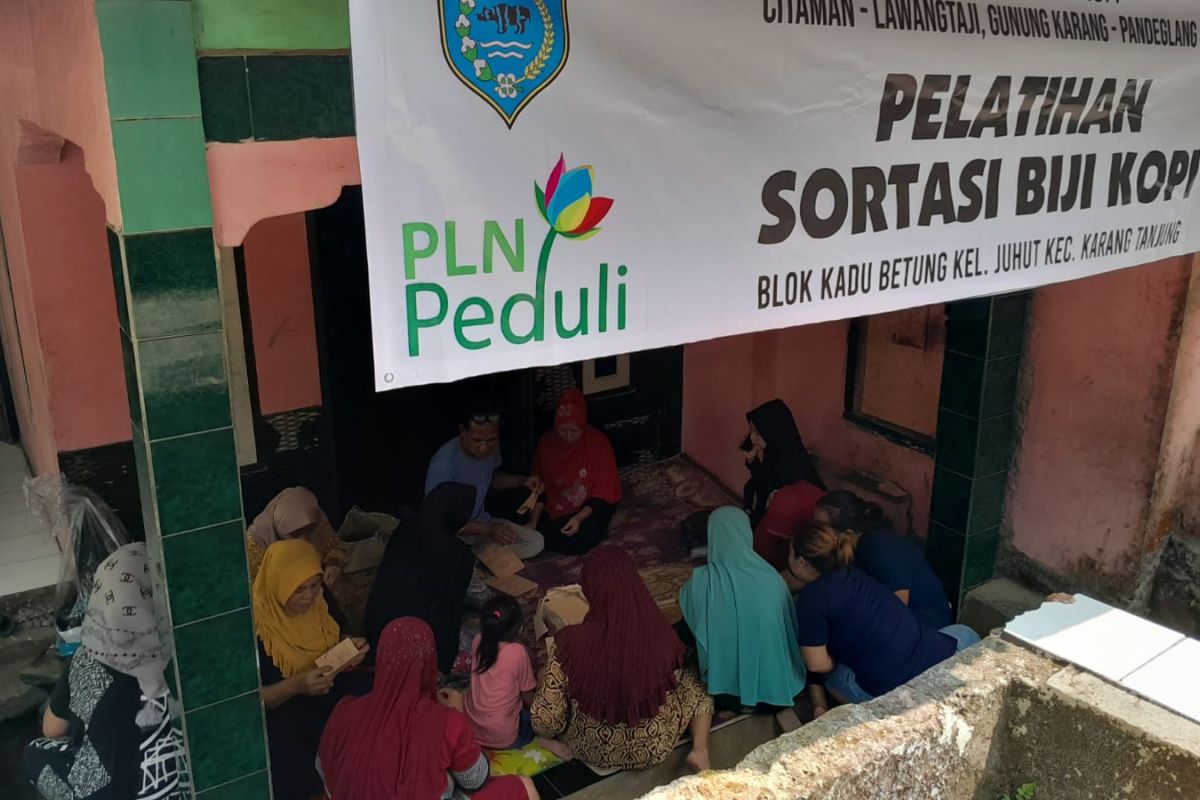 PLN UID Banten peduli, berikan pelatihan sortasi biji kopi