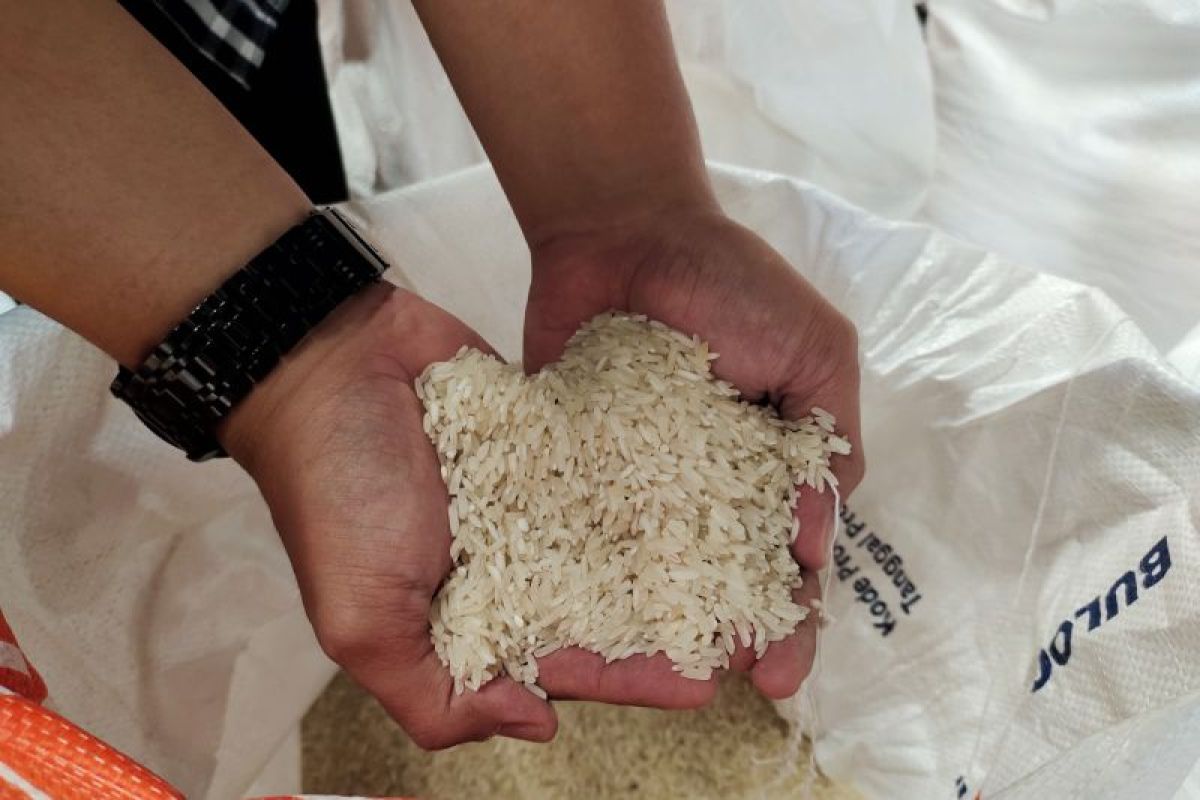 Penyerapan beras petani Lampung capai 27,9 ribu ton di awal Desember