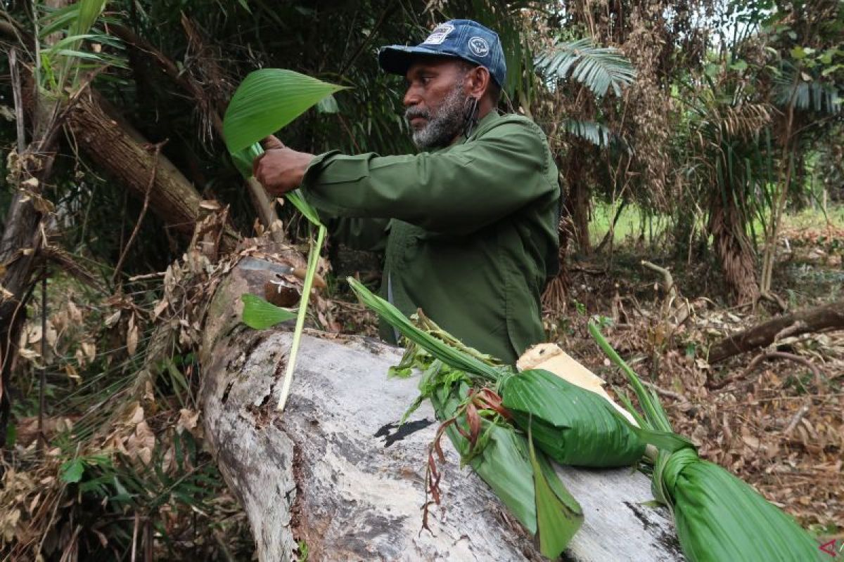 From darkness to dishes: How electricity revives Papuan cuisine